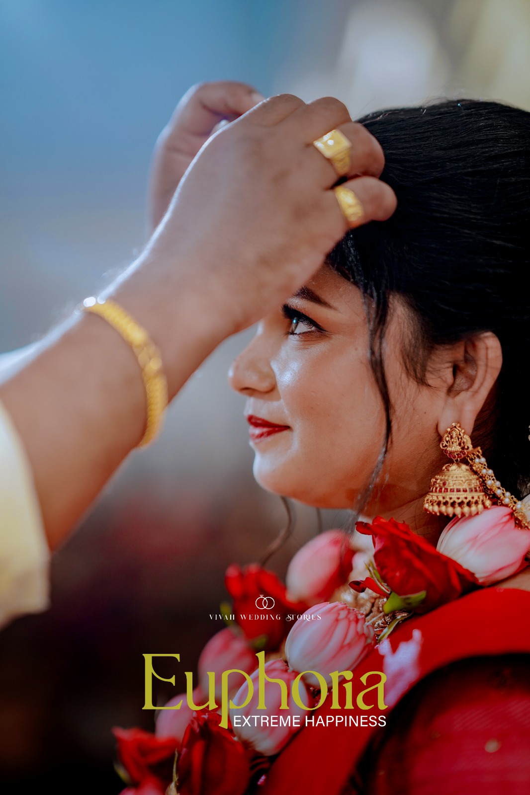 a forest after an apocalypse